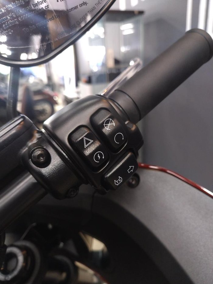 2024 Harley-Davidson Low Rider ST 117 (FXLRST) Softail Red