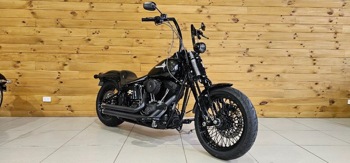 2009 Harley-davidson FLSTSB SOFTAIL CROSS BONES Black
