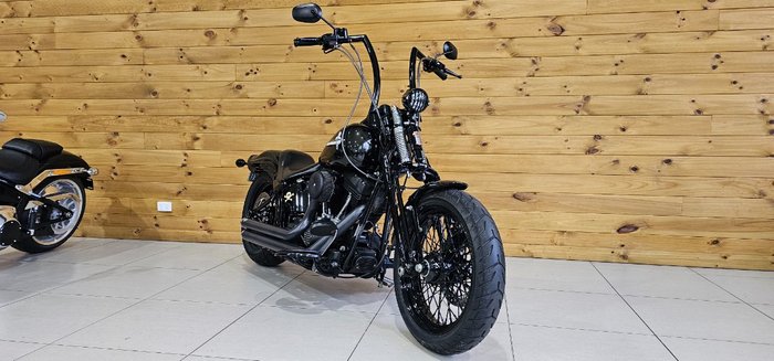 2009 Harley-davidson FLSTSB SOFTAIL CROSS BONES Black