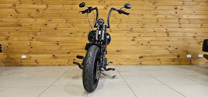 2009 Harley-davidson FLSTSB SOFTAIL CROSS BONES Black