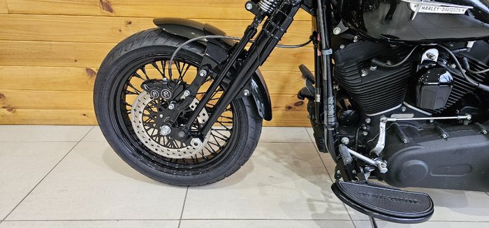 2009 Harley-davidson FLSTSB SOFTAIL CROSS BONES Black