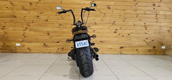 2009 Harley-davidson FLSTSB SOFTAIL CROSS BONES Black