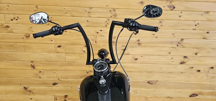 2009 Harley-davidson FLSTSB SOFTAIL CROSS BONES Black