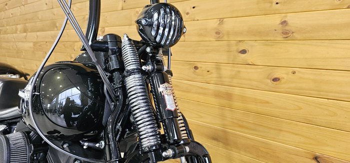 2009 Harley-davidson FLSTSB SOFTAIL CROSS BONES Black