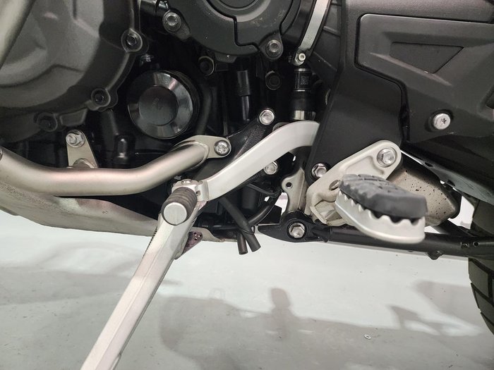2023 Triumph Tiger 1200 Rally Pro Tiger White