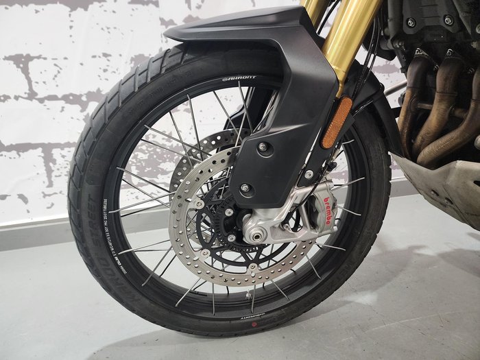 2023 Triumph Tiger 1200 Rally Pro Tiger White