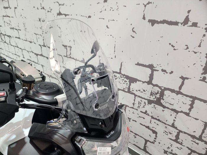 2023 Triumph Tiger 1200 Rally Pro Tiger White