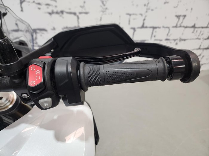 2023 Triumph Tiger 1200 Rally Pro Tiger White