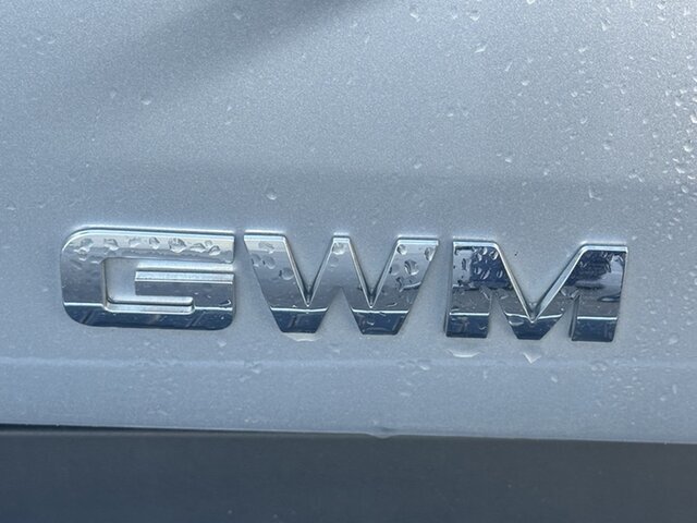 2022 GWM Ute