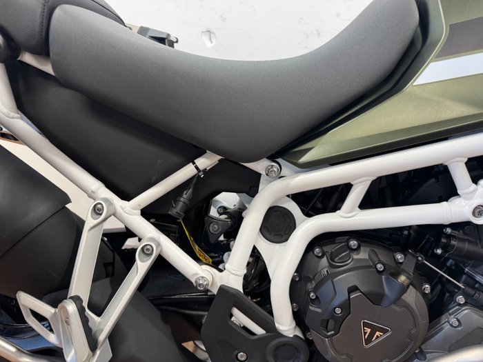 2023 Triumph TIGER 900 RALLY GREEN