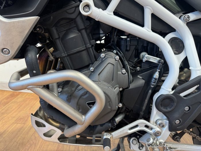 2023 Triumph TIGER 900 RALLY GREEN