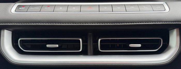 2025 GWM Cannon Vanta