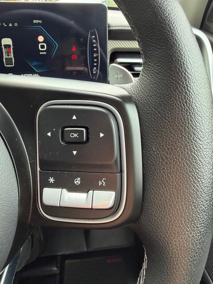 2025 GWM Cannon Vanta