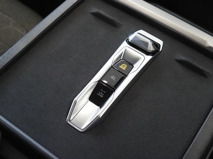 2025 LDV Terron 9 Origin