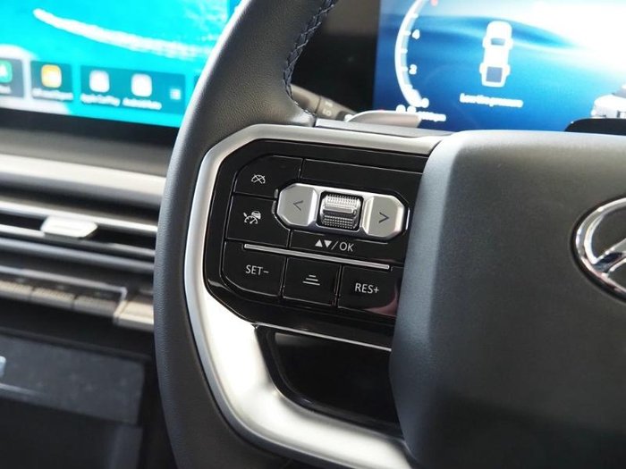 2025 LDV Terron 9 Origin