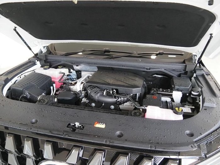 2025 LDV Terron 9 Origin