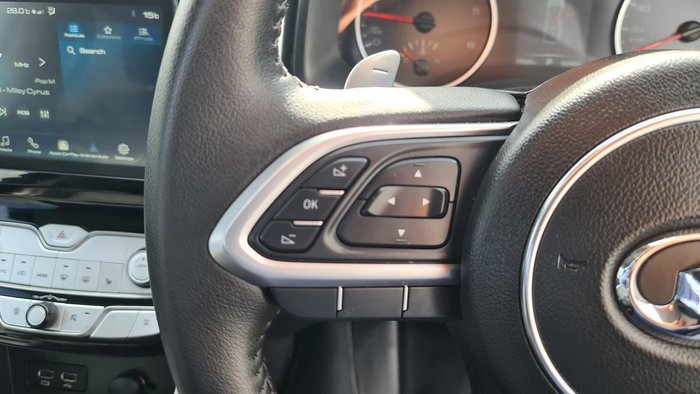 2022 GWM Ute Cannon-L