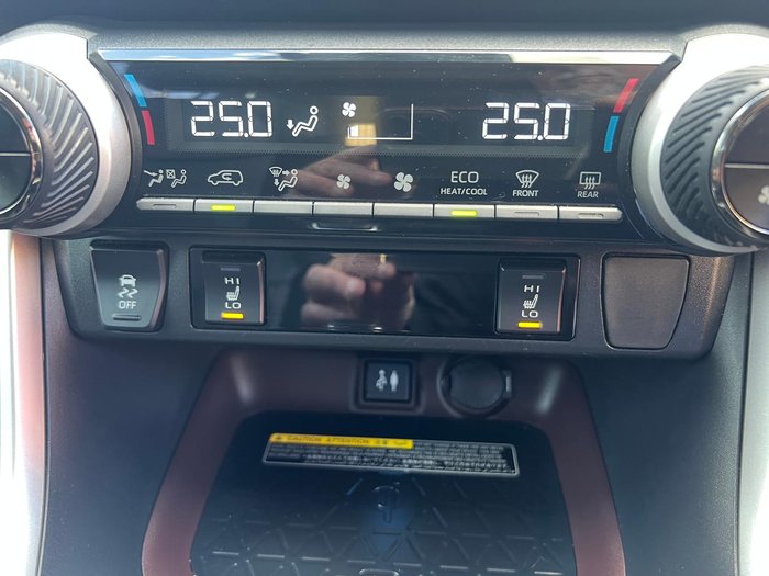 2019 Toyota RAV4 Cruiser
