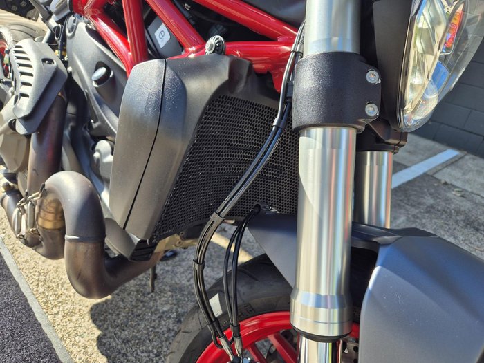 2017 Ducati Monster 821 Monster Grey