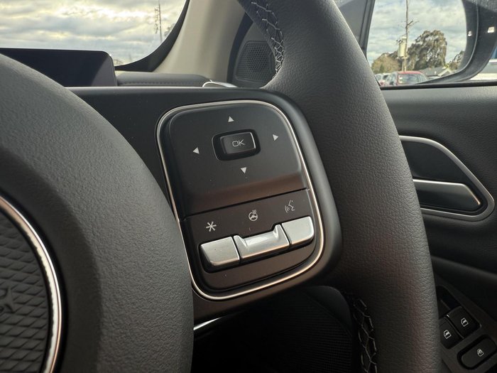 2025 GWM Cannon Vanta