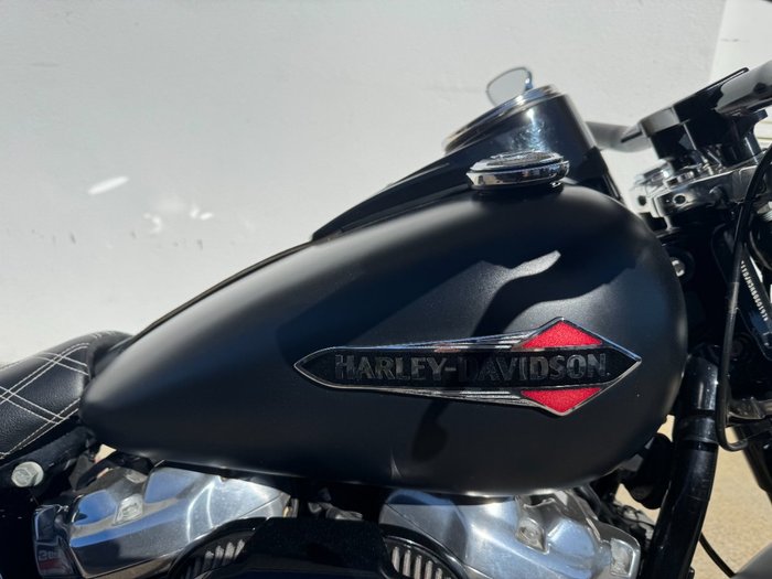 2019 Harley-Davidson FLSL SOFTAIL SLIM (107) black