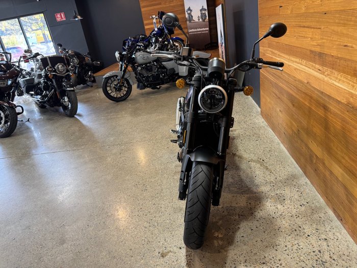 2024 Harley-davidson 2024 Harley-davidson 500CC X500 ?