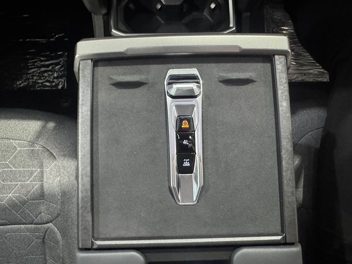 2025 LDV Terron 9 Origin