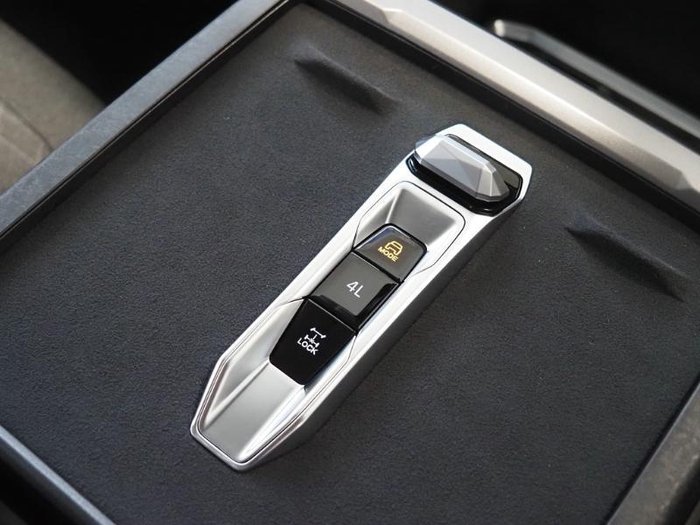 2025 LDV Terron 9 Origin