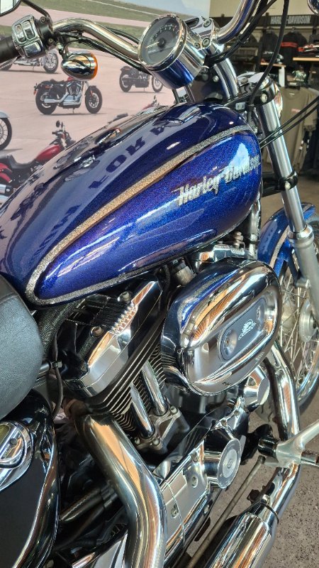2009 Harley-davidson XL1200N SPORTSTER NIGHTSTER PURPLE