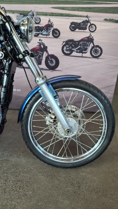 2009 Harley-davidson XL1200N SPORTSTER NIGHTSTER PURPLE