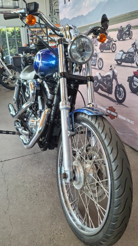 2009 Harley-davidson XL1200N SPORTSTER NIGHTSTER PURPLE