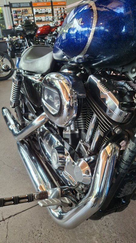 2009 Harley-davidson XL1200N SPORTSTER NIGHTSTER PURPLE