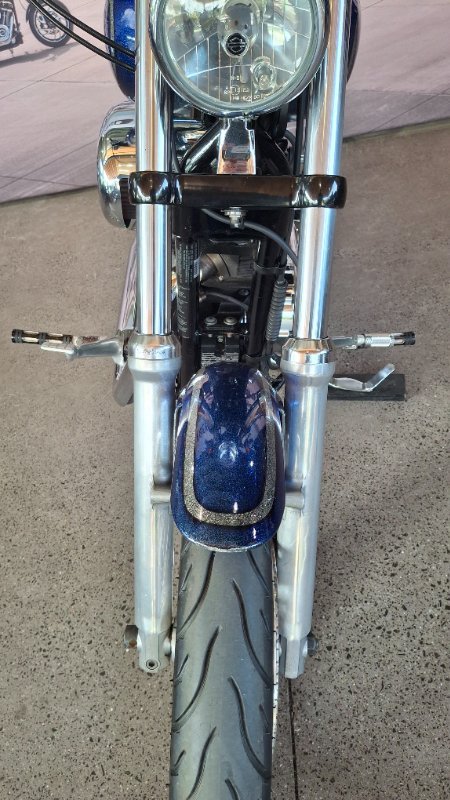 2009 Harley-davidson XL1200N SPORTSTER NIGHTSTER PURPLE