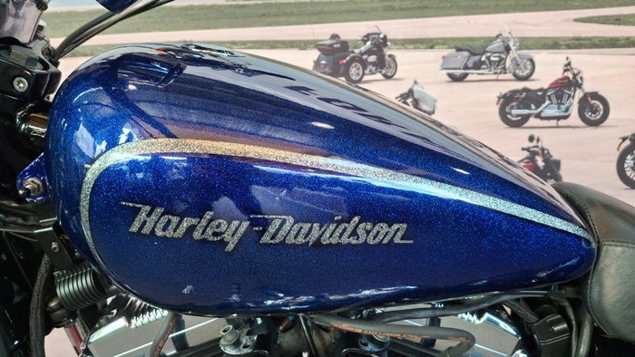 2009 Harley-davidson XL1200N SPORTSTER NIGHTSTER PURPLE