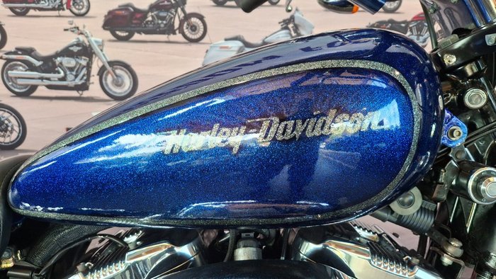 2009 Harley-davidson XL1200N SPORTSTER NIGHTSTER PURPLE