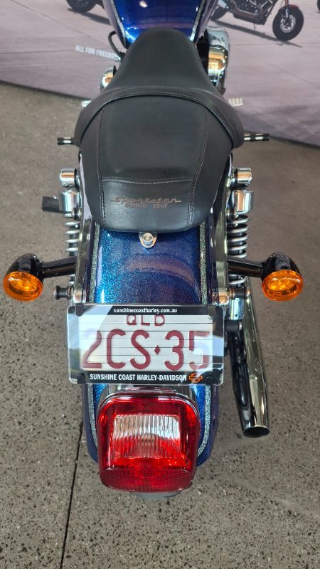 2009 Harley-davidson XL1200N SPORTSTER NIGHTSTER PURPLE