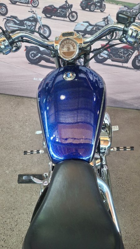 2009 Harley-davidson XL1200C SPORTSTER CUSTOM PURPLE