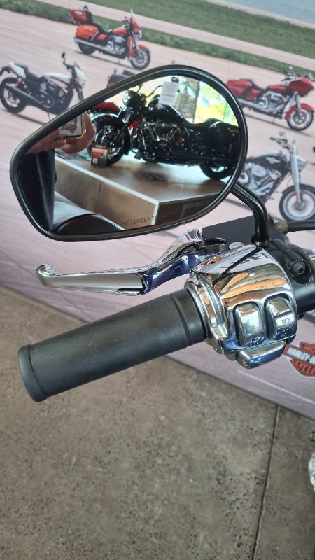 2009 Harley-davidson XL1200C SPORTSTER CUSTOM PURPLE