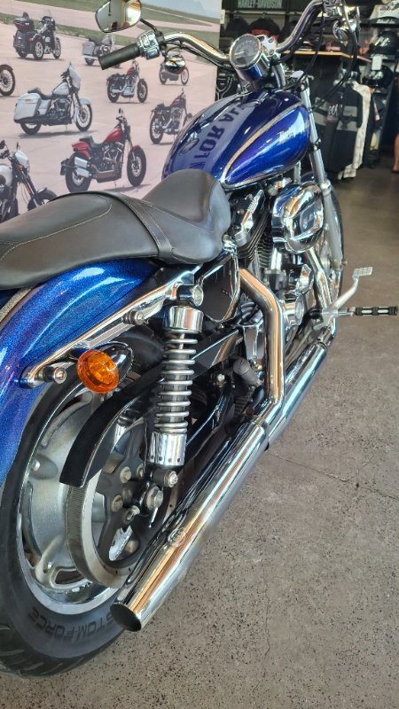 2009 Harley-davidson XL1200N SPORTSTER NIGHTSTER PURPLE