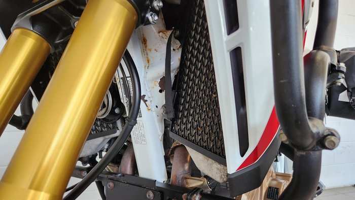 2020 Honda Africa Twin Adventure Sports DCT ABS (CRF1100D2) Africa Twin White