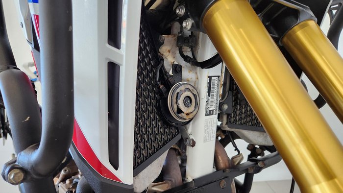 2020 Honda Africa Twin Adventure Sports DCT ABS (CRF1100D2) Africa Twin White