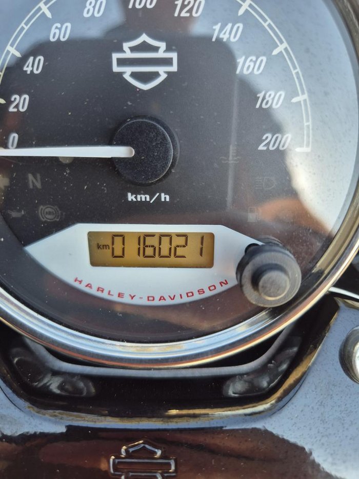 2020 Harley-Davidson Street 500 (XG500) Street Black