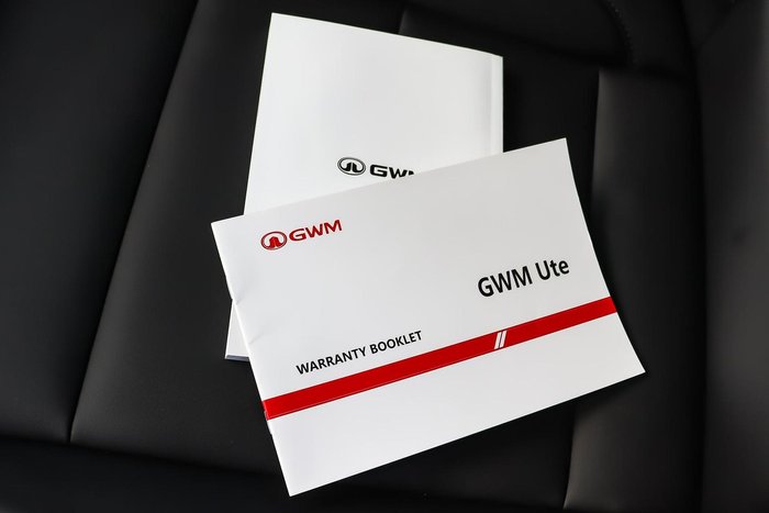 2025 GWM Ute Cannon Premium