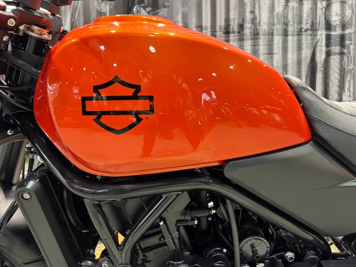 2024 Harley-davidson HD500-10A H-DX X500 DYNAMIC ORANGE
