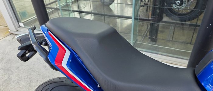 2024 BMW Motorrad G 310 R BLUE