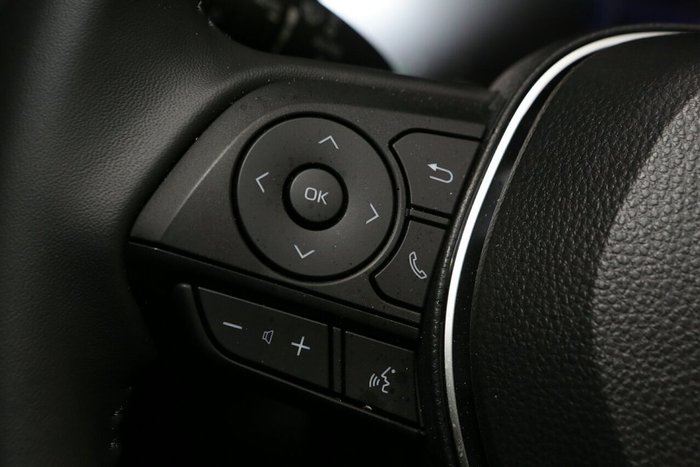 2025 Toyota RAV4 Cruiser