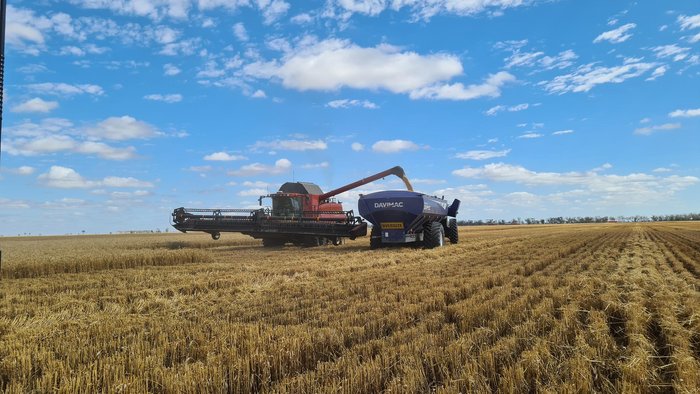 Davimac 30T Single Axle Chaser Bin