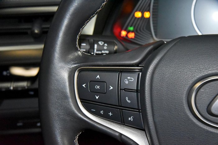2019 Lexus UX 200 Luxury