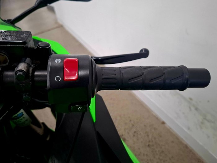 2014 Kawasaki NINJA 300 ABS Green