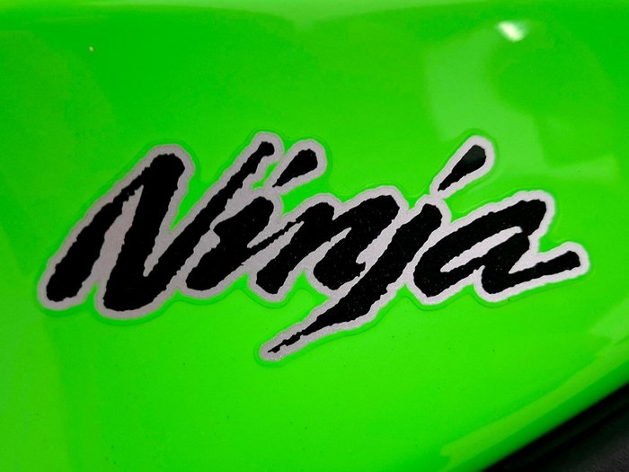 2014 Kawasaki NINJA 300 ABS Green